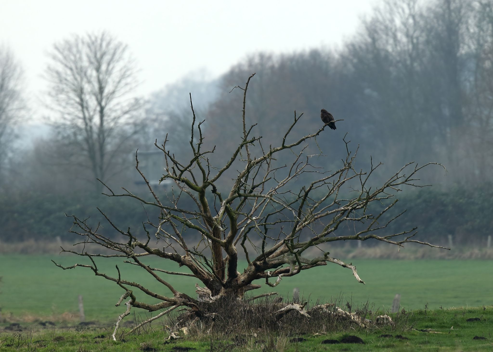 A20 Feldflur noerdlich Klein Sarau
