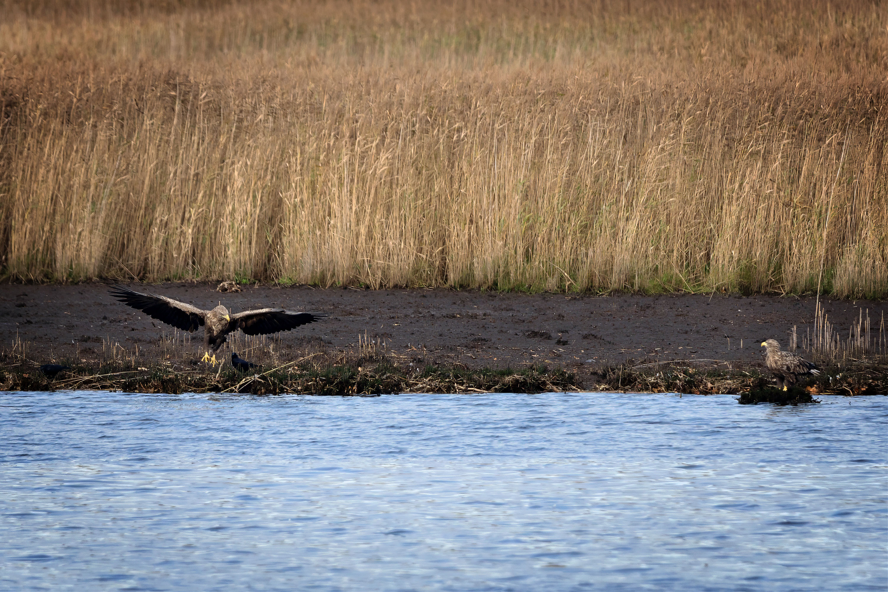 NOR 20251022 JT A0149